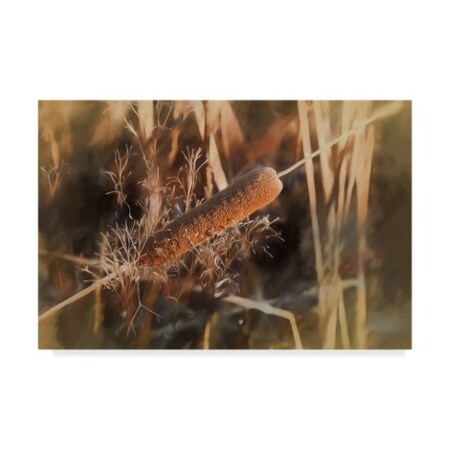 Anthony Paladino 'Brown Cattail With Soft Yellow Pastel' Canvas Art,30x47